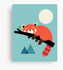 Nap Time Canvas Print