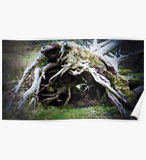 The enchanted fallen tree Poster