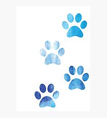 Lámina fotográfica Acuarela Paw Prints
