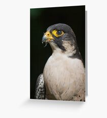 Dinner Around My Mouth Greeting Card