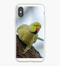 Rose-ringed Parakeet 04 iPhone Case