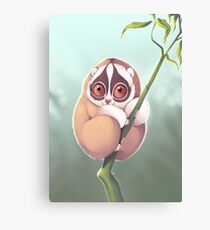 Slo Loris Canvas Print