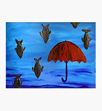 kafka on the shore #1 Photographic Print