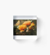 Flower and Butterfly Acrylic Block