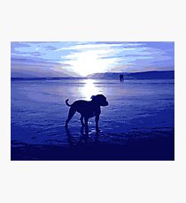 Staffordshire Bull Terrier on Beach in Blue, Pop Art Print Photographic Print