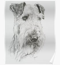 Shaggy Poster