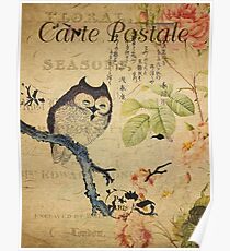 Vintage Postcard Owl Poster