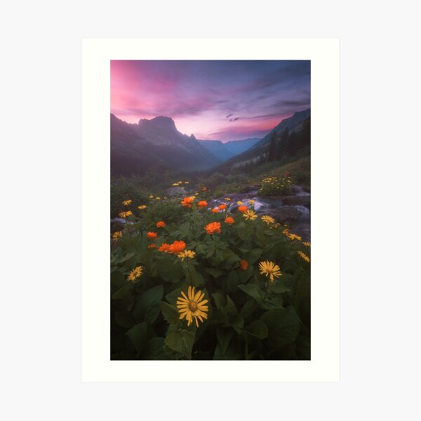 Landscape with flowers. Art Print