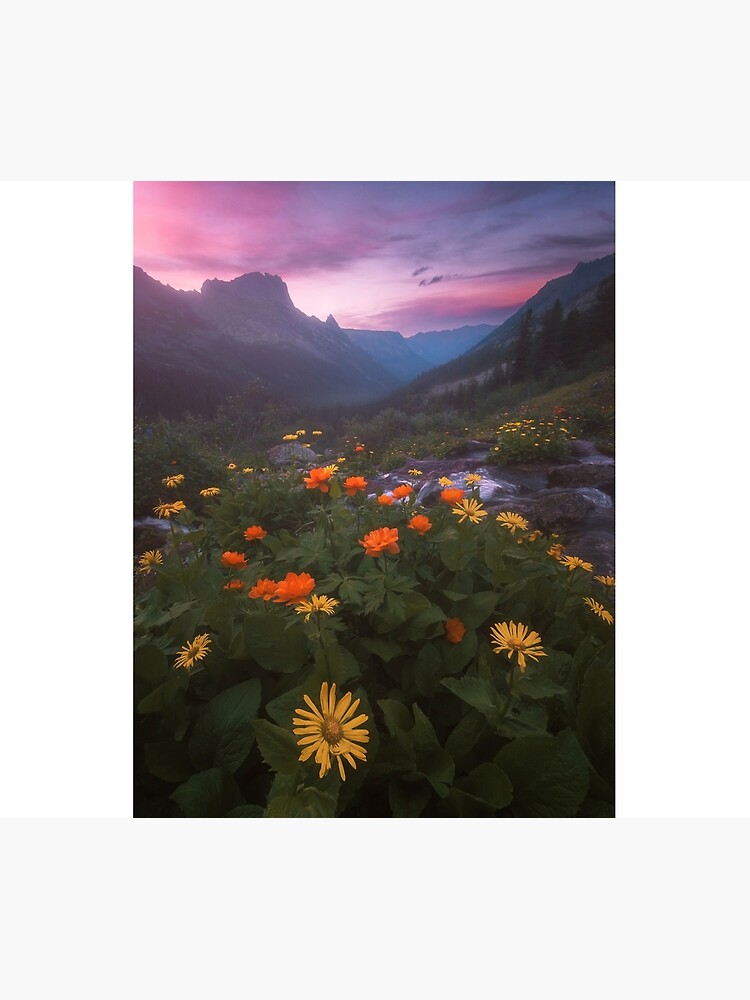 Landscape with flowers. by Eugenstellar