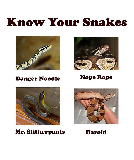 know-your-snakes-nope-rope-danger-noodle-posters-by-croneda-redbubble