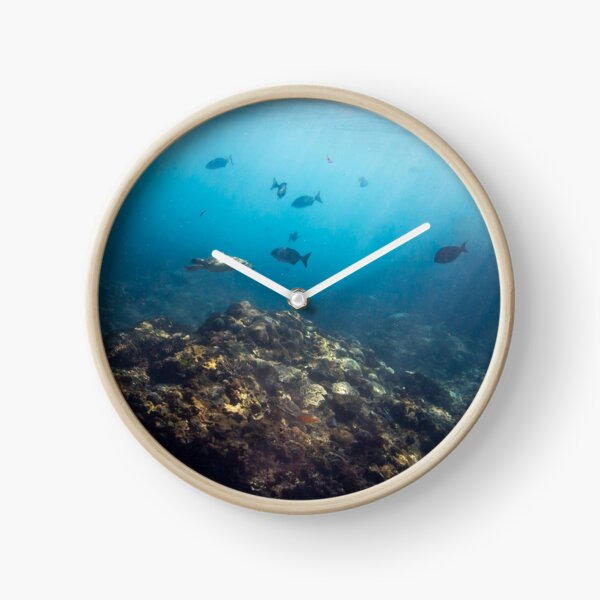 Flinders Reef Clock