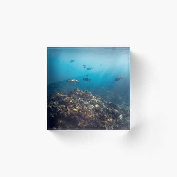 Flinders Reef Acrylic Block