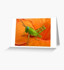 Colour Contrast Greeting Card