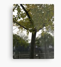It's Autum Metal Print