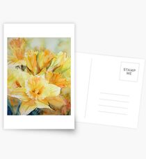 Distilled Sunlight Postcards