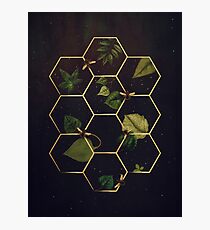 Bees in Space Photographic Print