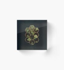 Bloque acrílico Abejas en el espacio