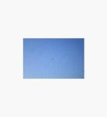 Lone Bird Soaring the Skies Art Board