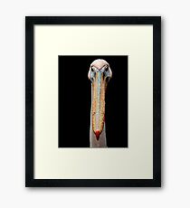 Bill Framed Print