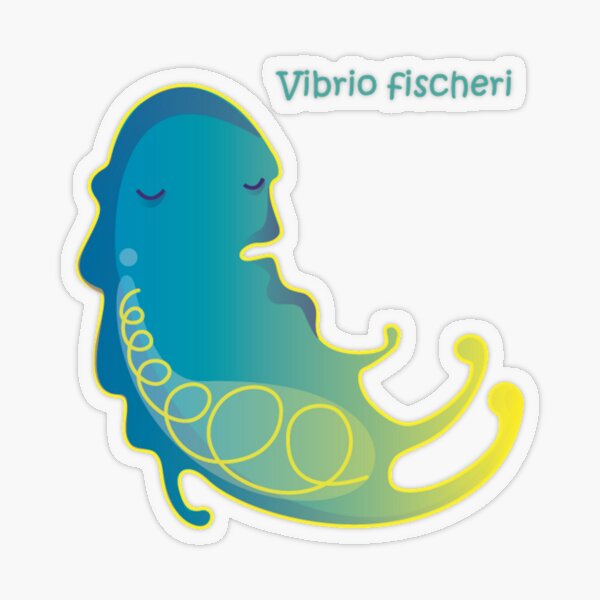 Vibrio fischeri Transparenter Sticker