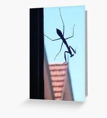 Househopping! Greeting Card