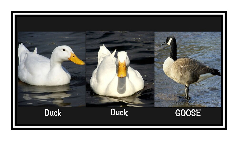 duck duck goose steam