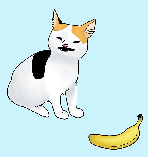 "Cat no banana" Poster by stolas Redbubble