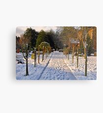 Snow Scene~ Metal Print