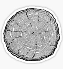 Tree Ring Sticker