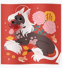 Familiar - Chinese Crested Poster