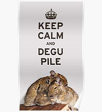 Keep Calm and Degu Pile Poster