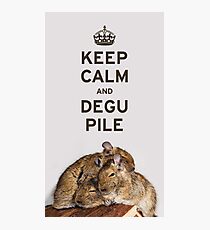 Keep Calm and Degu Pile Photographic Print