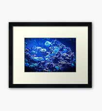 The Deep Blue Serenity Framed Print