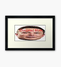 Elongated Musk Framed Print