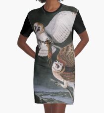 Vestido camiseta Lechuzas, las aves de América por John James Audubon