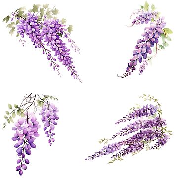 Enchanting Wisteria Watercolor Cutouts: Made with Love for Purple