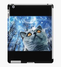 Blue Cat and the Little Star iPad Case/Skin