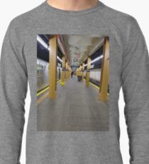 Subway station, New York, Brooklyn, Manhattan, New York City, Buildings, streets, trees Lightweight Sweatshirt