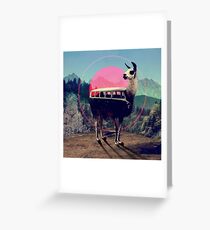 Llama Greeting Card