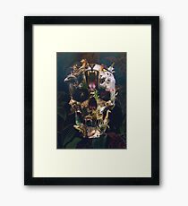 Kingdom Framed Print