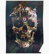 Kingdom Poster