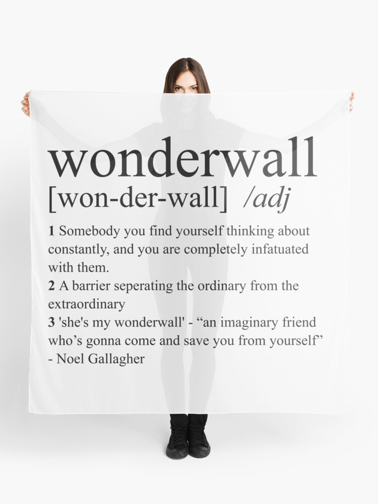 Wonderwall Dictionary Definition Scarf By Designedbyoli Redbubble