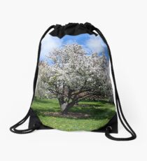 Blooming White Crabapple Tree in Springtime Drawstring Bag