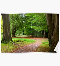 The Leafy Path Poster