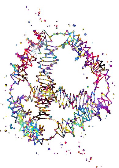 the structure of dna dna molecule watercolor dna dna molecule