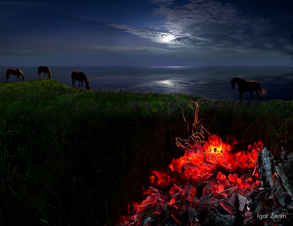 "Night Chill" by Igor Zenin | Redbubble