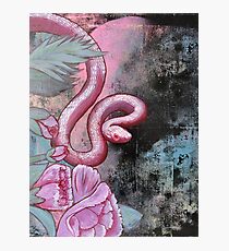 Snake Photographic Print