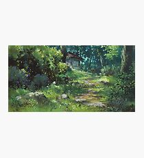 Wald Fotodruck