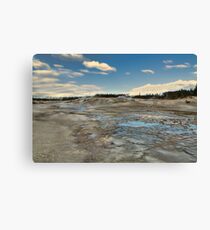 Desolate Beauty Canvas Print