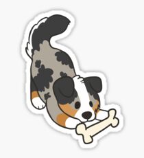 Aussie: Stickers | Redbubble